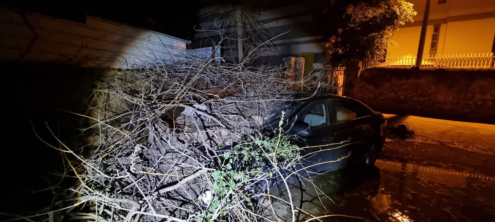 WhatsApp Image 2022-01-21 at 10.40.56 PM.jpeg